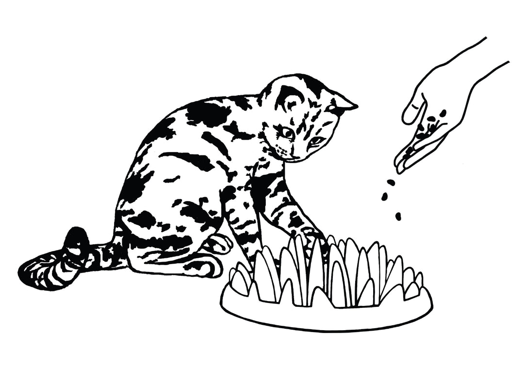 Northmate Catch Interactive Slow Feeder Food Bowl for Cat