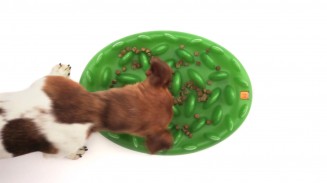 Northmate Green Interactive Slow Food Dog Bowl
