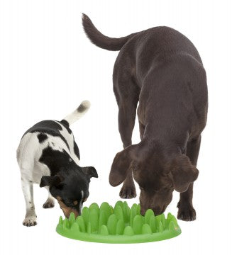 Northmate Green Interactive Slow Food Dog Bowl