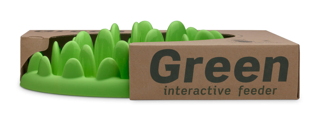 Northmate Green Interactive Slow Food Dog Bowl