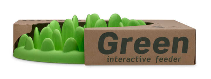 Northmate Green Interactive Slow Food Dog Bowl