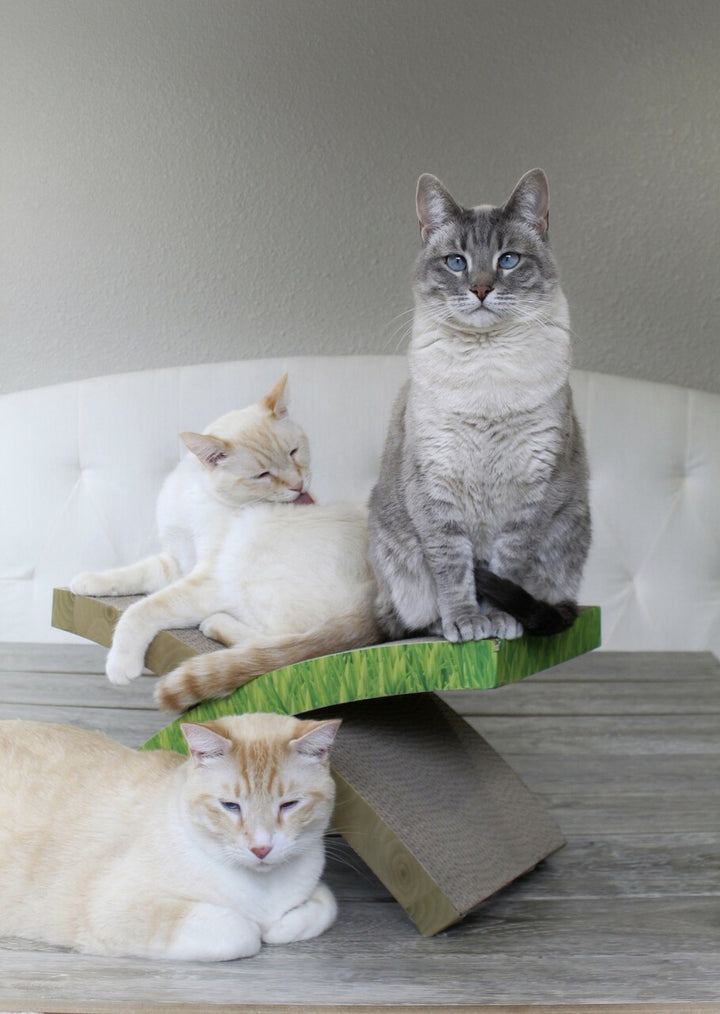 The Petstages Easy Life Hammock Cat Scratcher