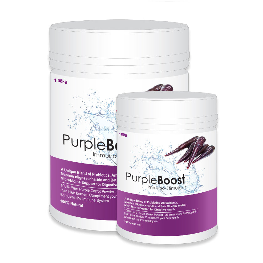 LifeWise Purple Boost Health Supplement For Dogs