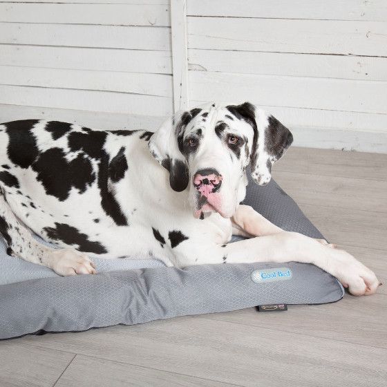 Scruffs Britain Cooling Dog Bed