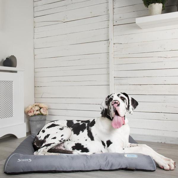 Scruffs Britain Cooling Dog Bed