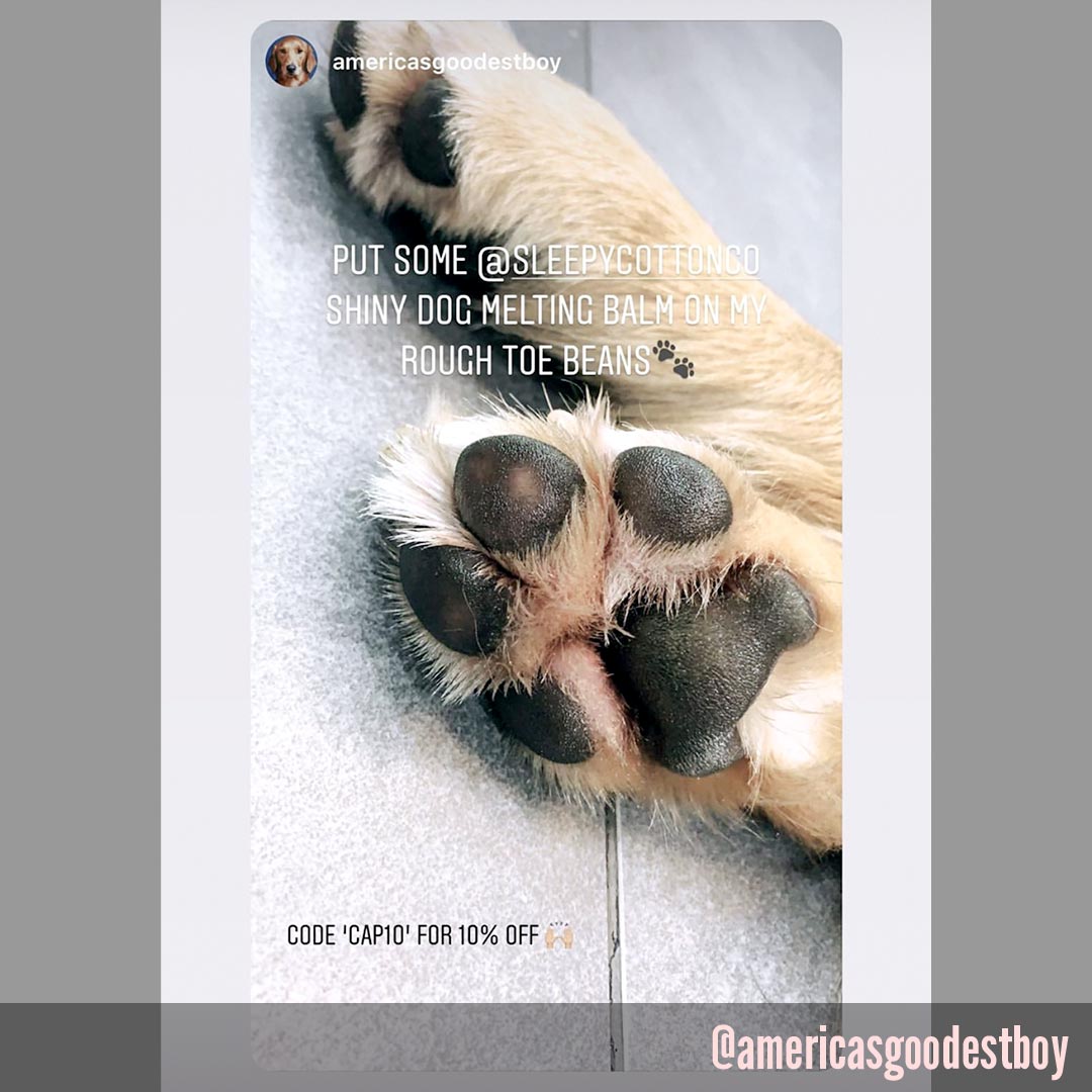 Sleepy Cotton Healing Dog Coconut Skin and Paw Balm 57g