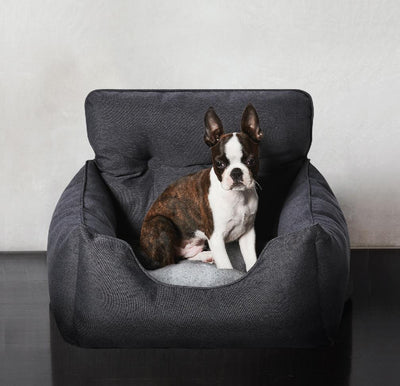 Snooza Travel Bed for Dog
