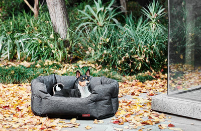 Snooza Supa Snooza Water-Resistant Dog Bed– Granite