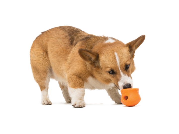 West Paw Toppl Treat Dispensing Dog Toy --Green